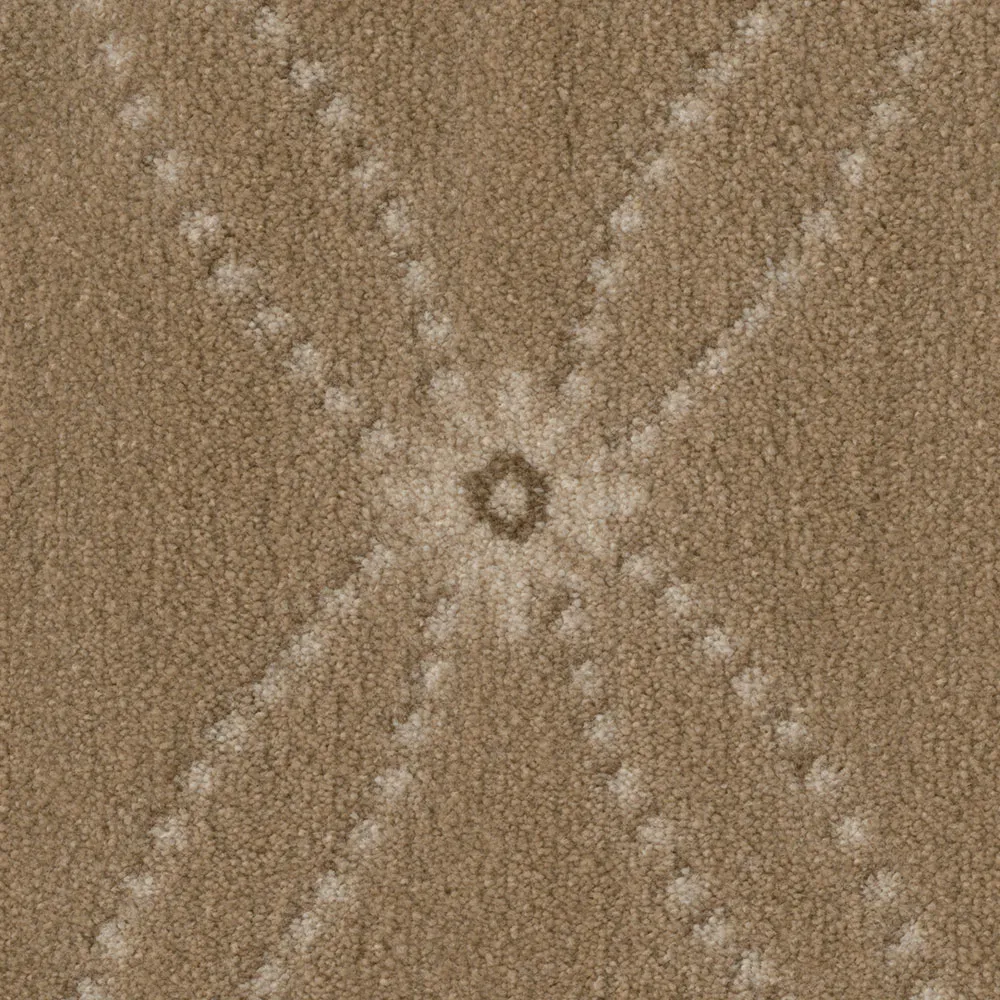 Map Room Parchment