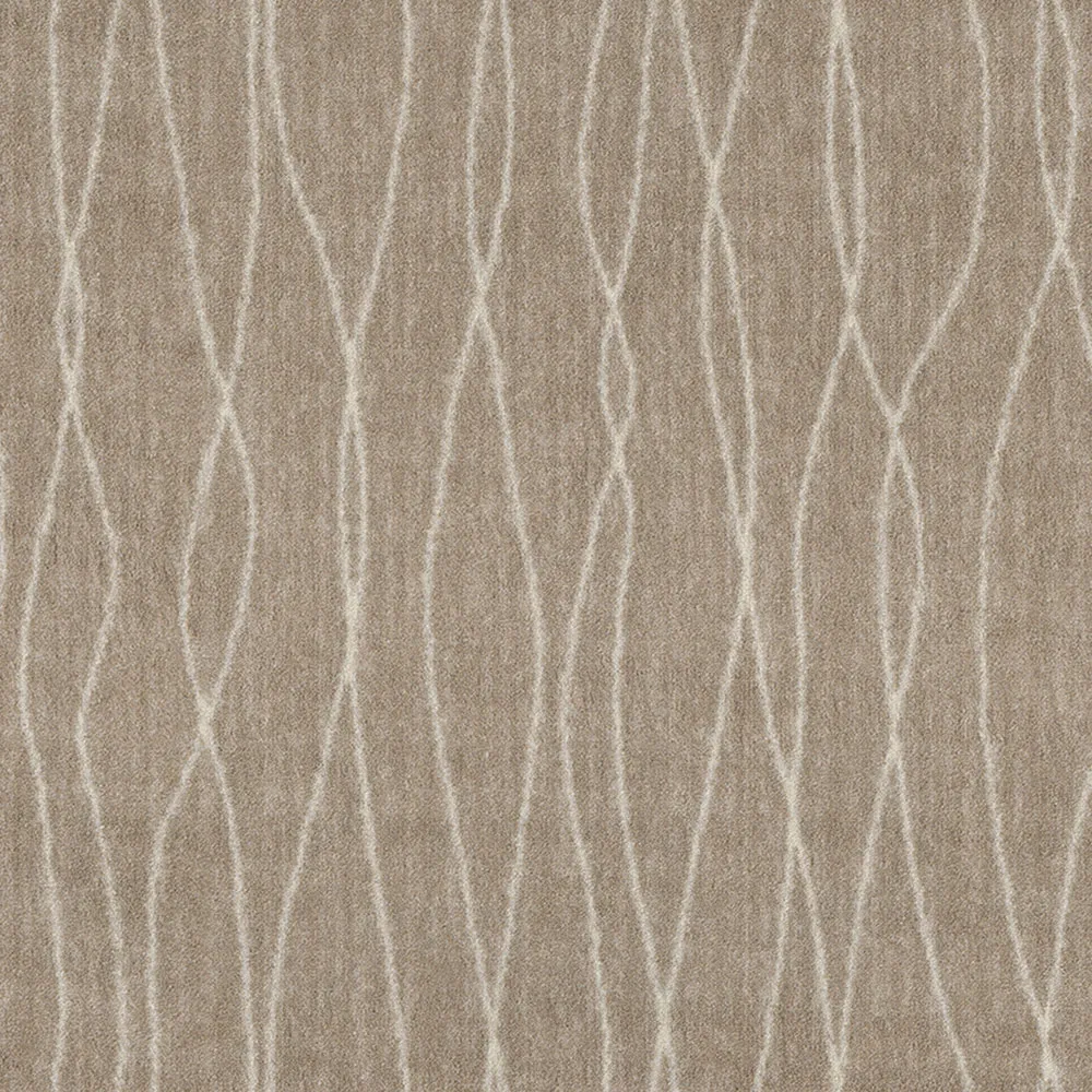 Questar Nutmeg