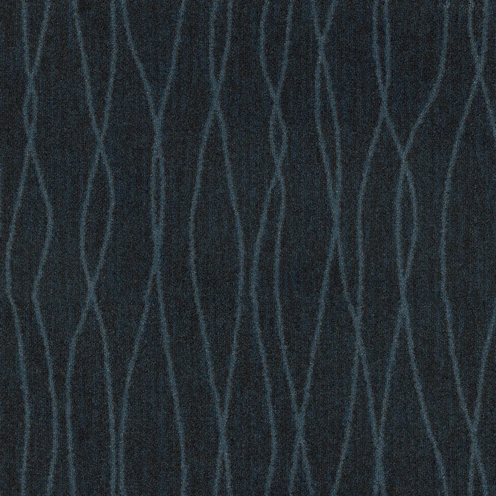 Questar Navy