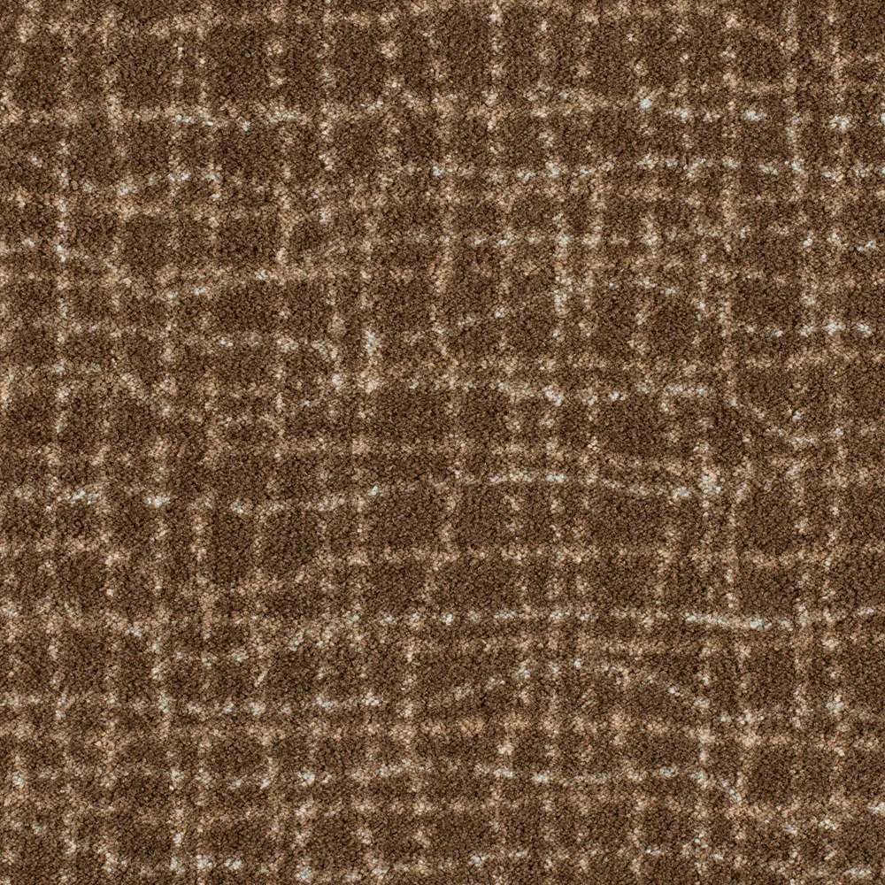 Backdrop Espresso