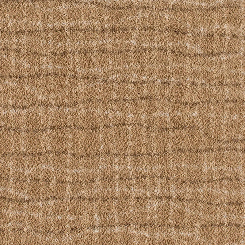 Backdrop Buckskin
