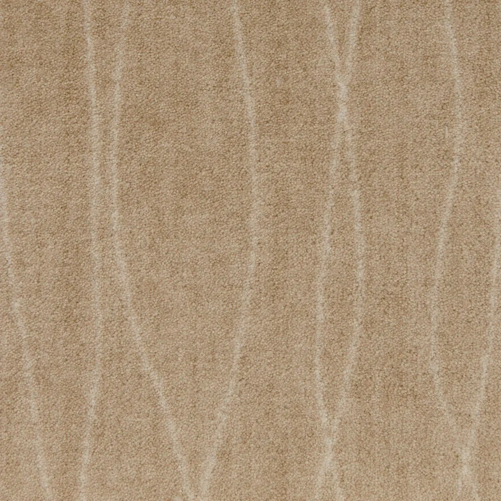 Early Questar Parchment