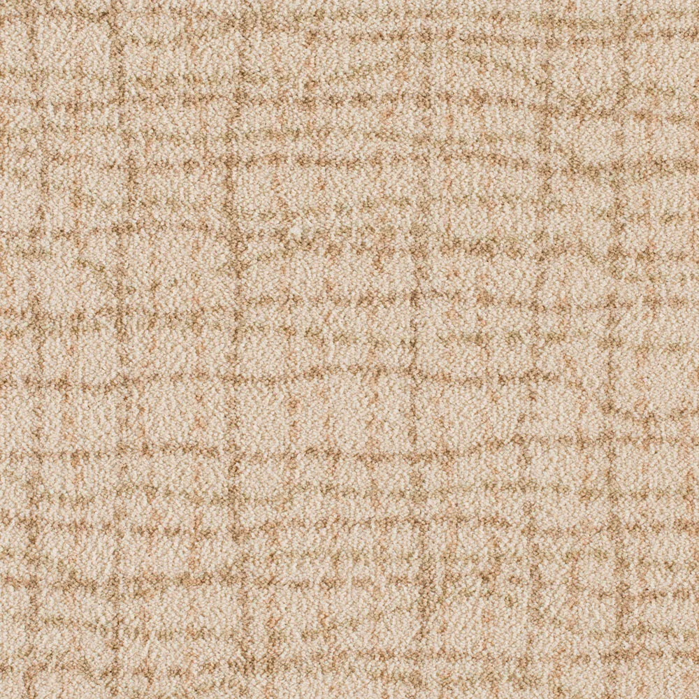Backdrop Wicker