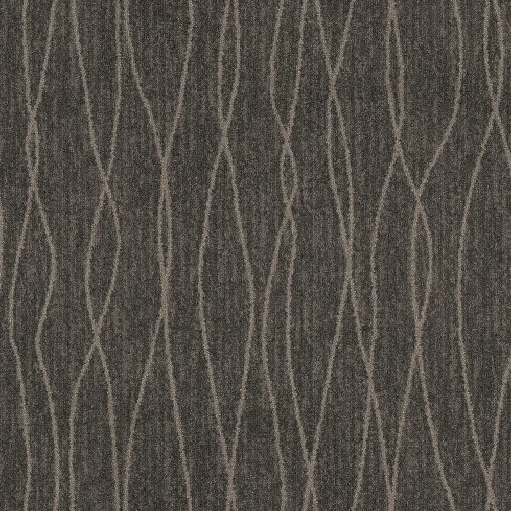 Questar Charcoal