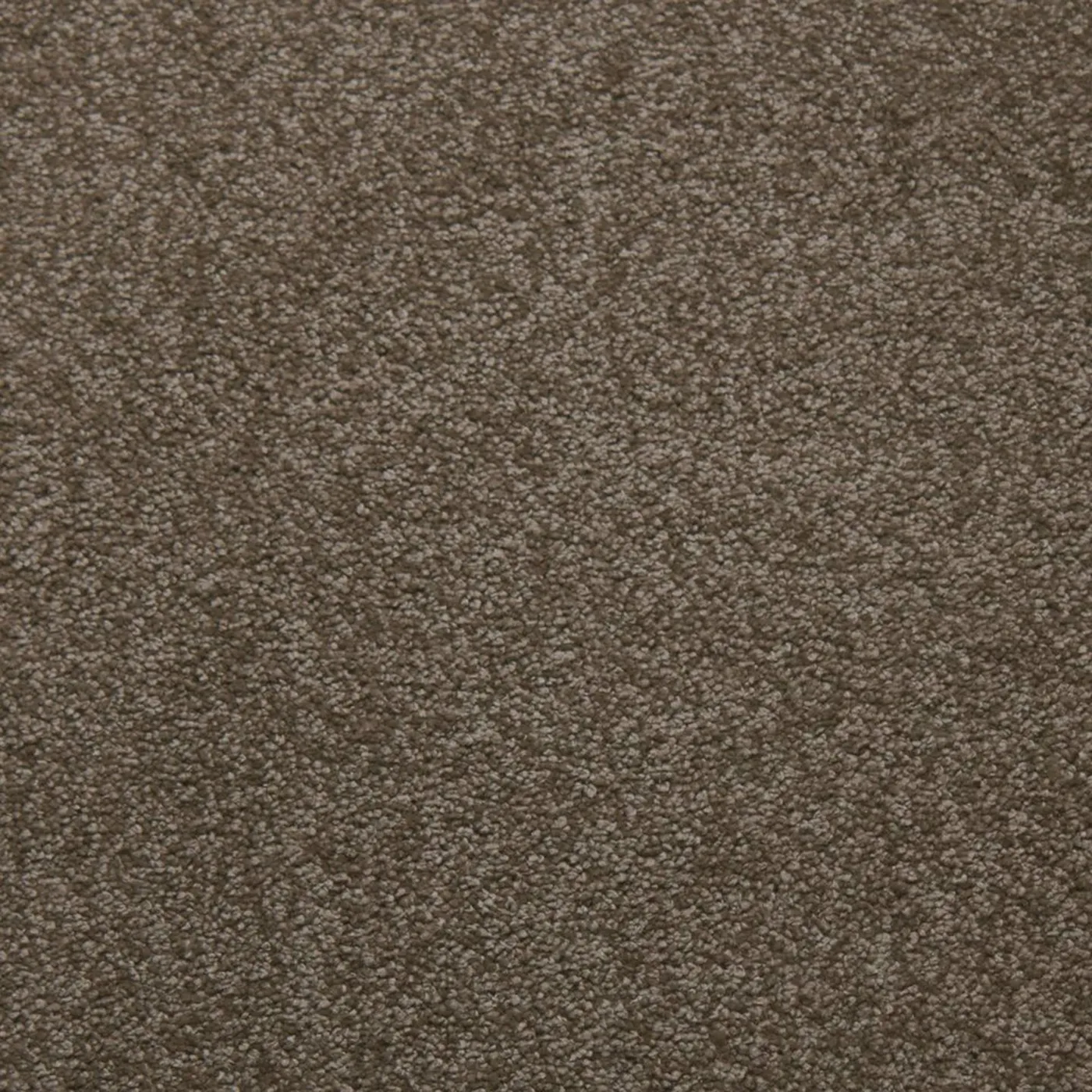 Soft Spoken Suede