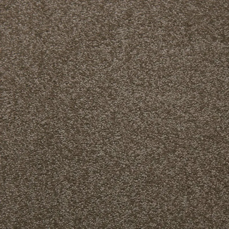 Soft Spoken Suede