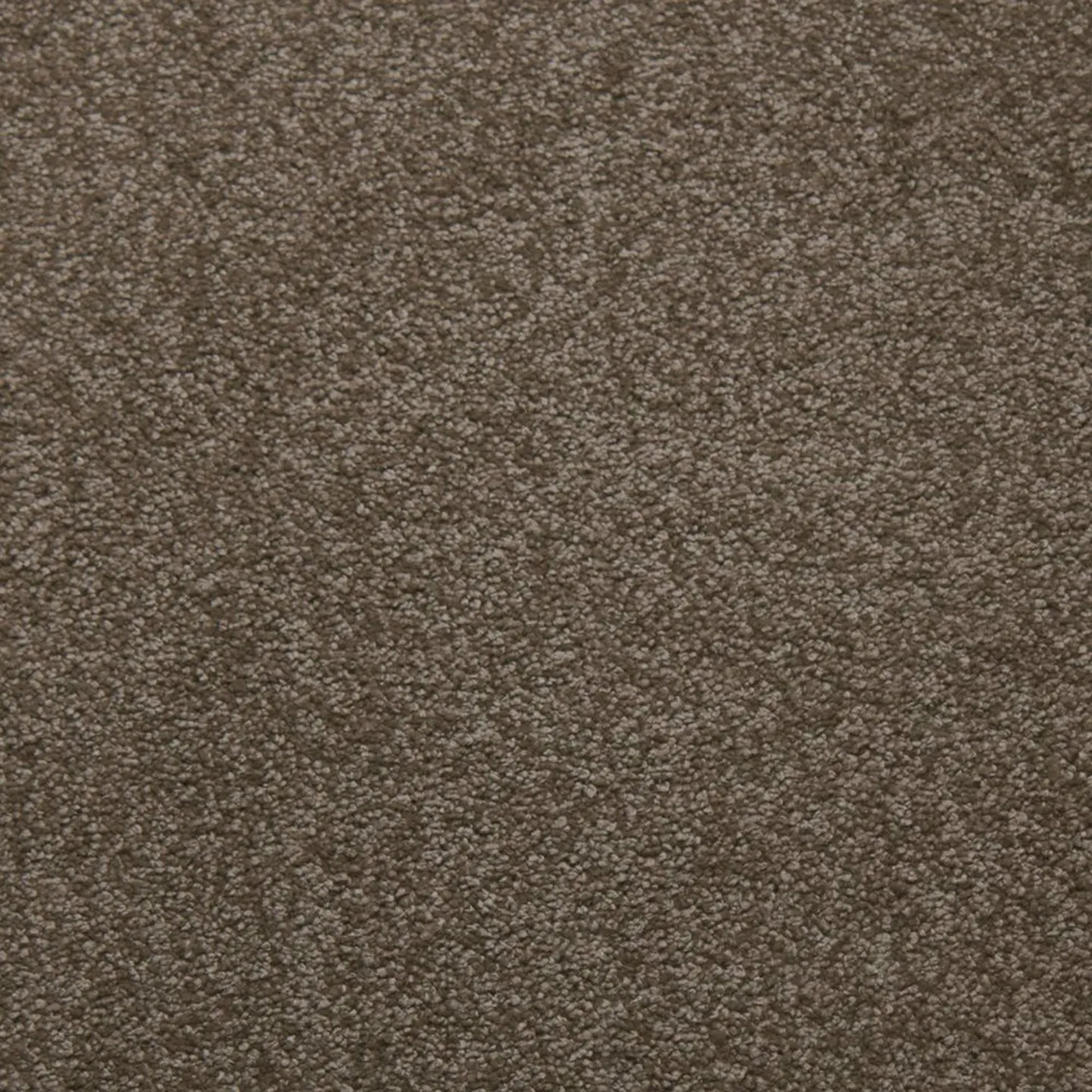 Whisper Suede