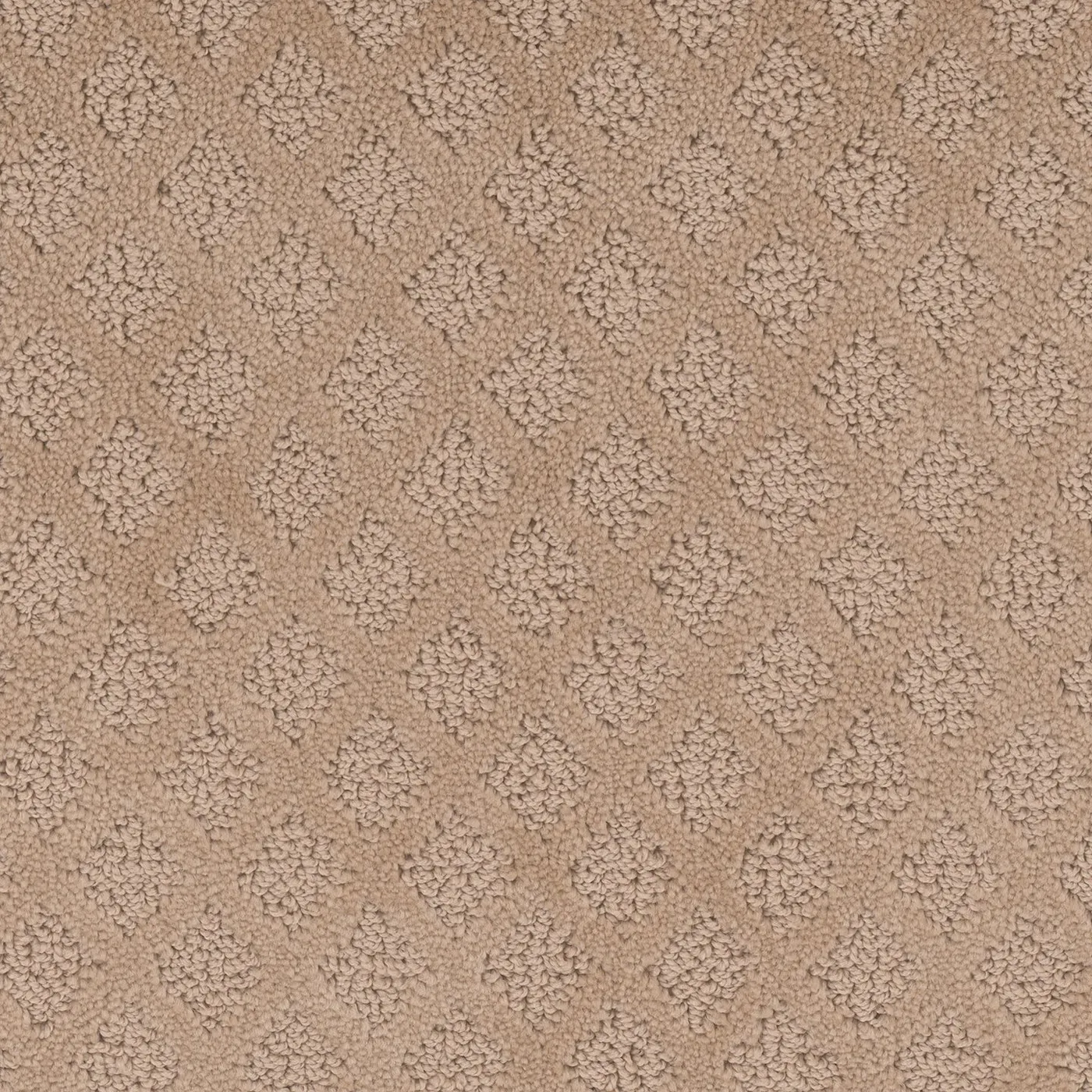 Morning Haze Relaxed Khaki