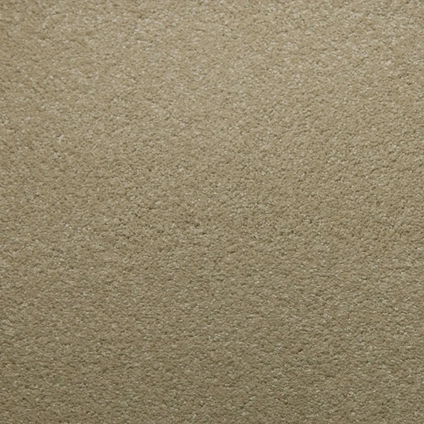 Downy Moonstone