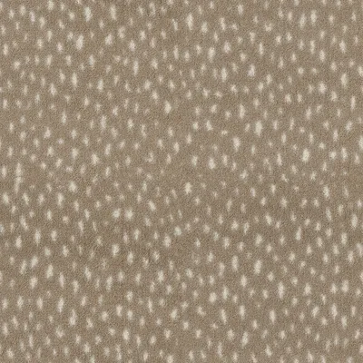 Dapple Fawn