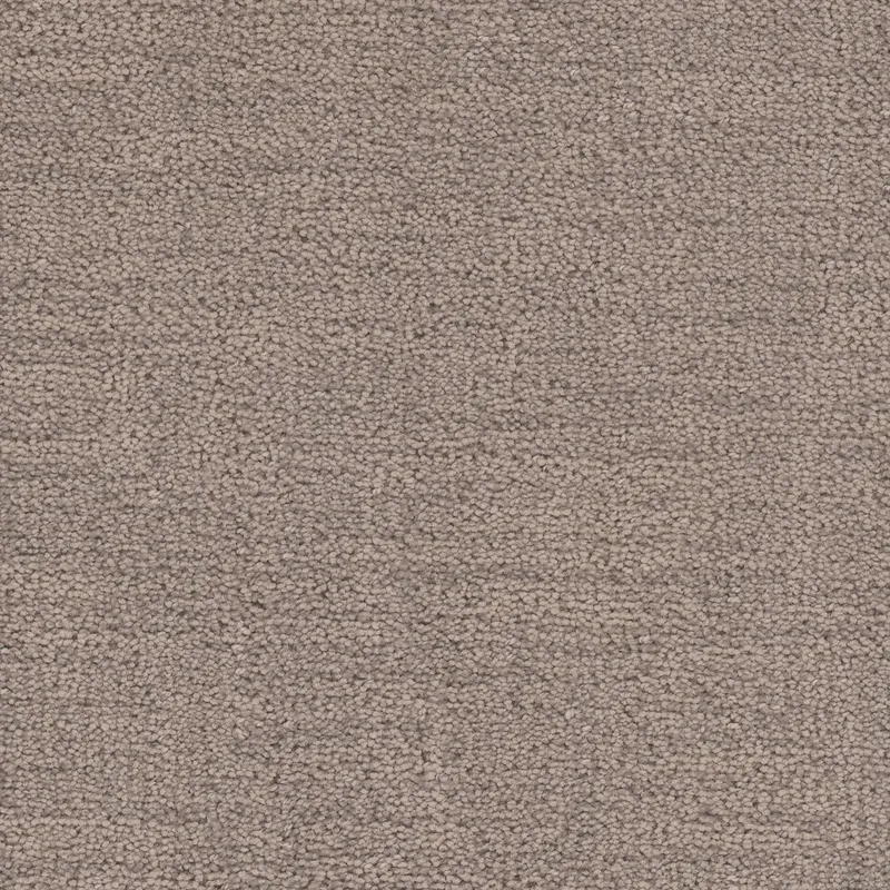Cadence Parchment