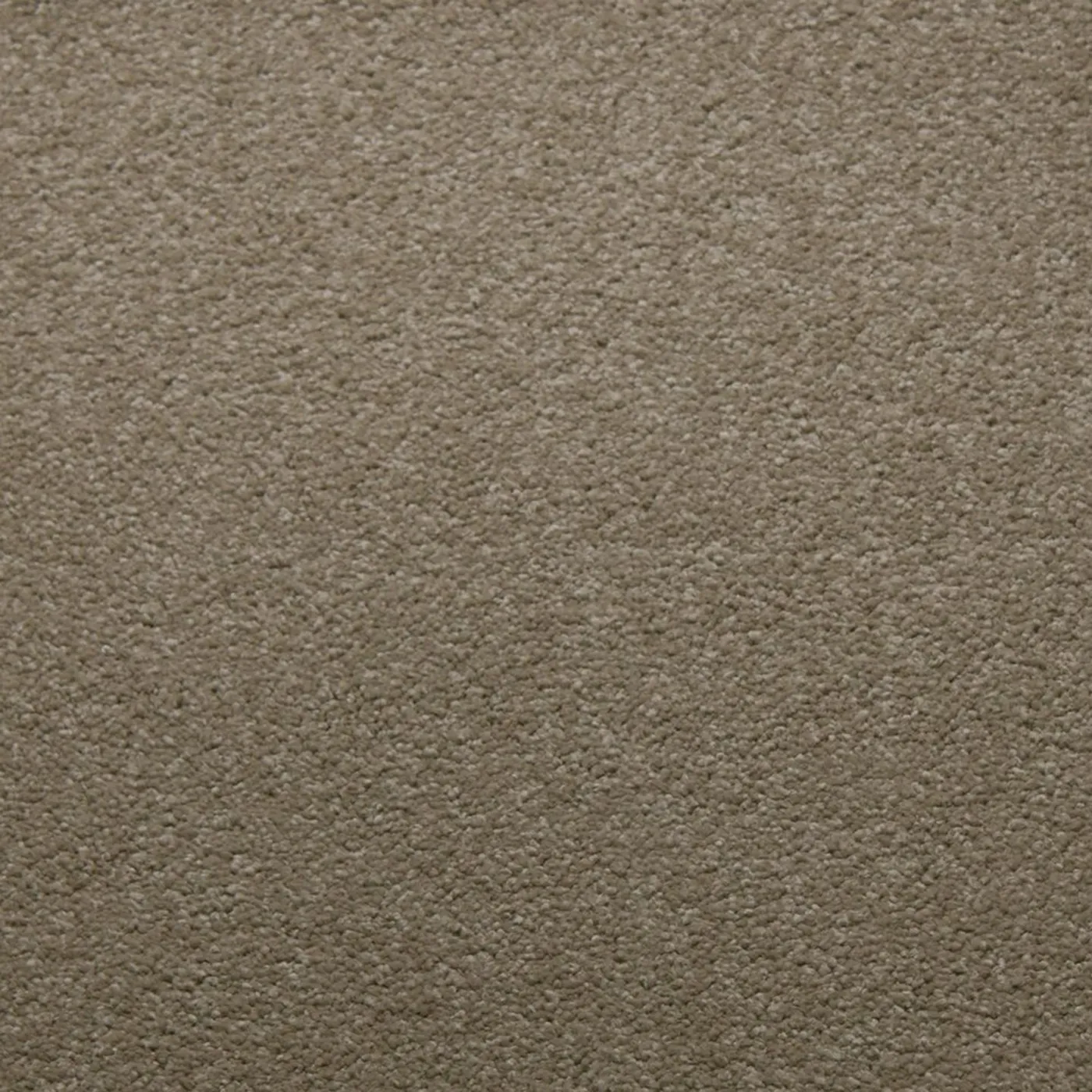 Downy Canvas