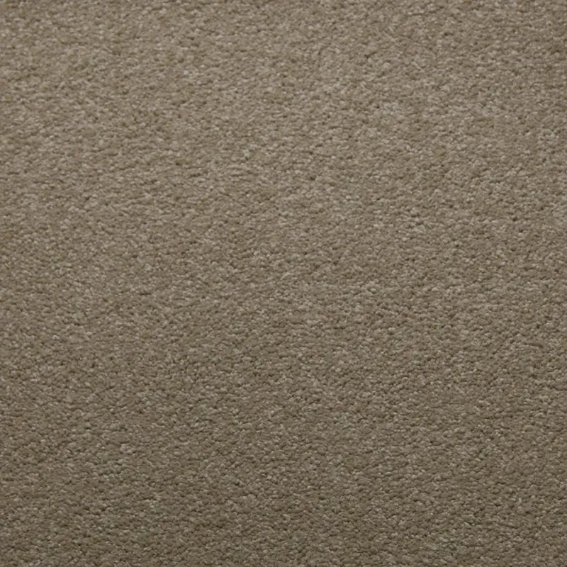 Downy Canvas
