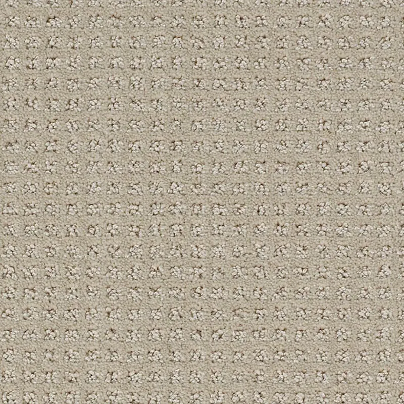 Manhatten Seashell