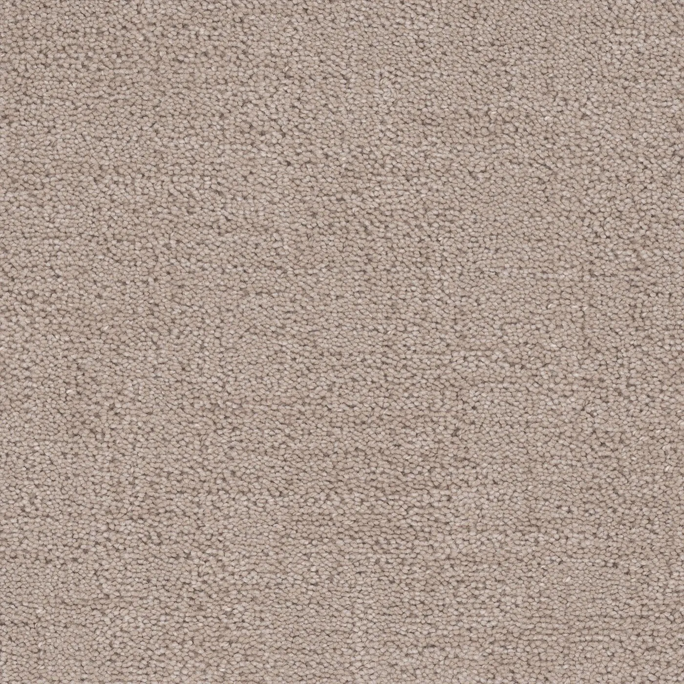 Cadence Porcelain