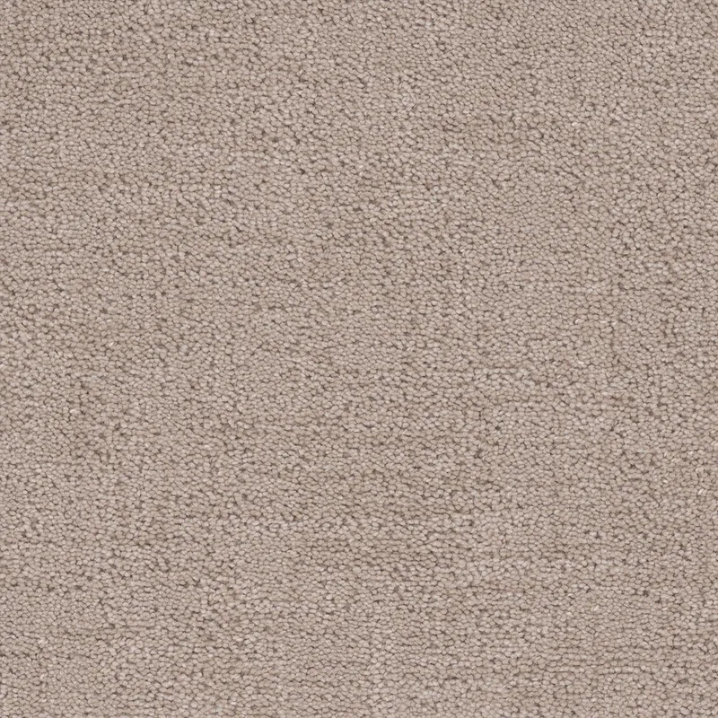 Cadence Porcelain