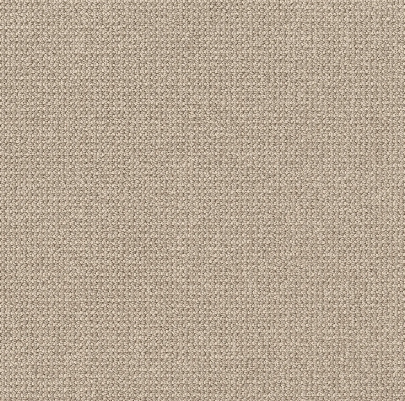 Quickwinter Champagne