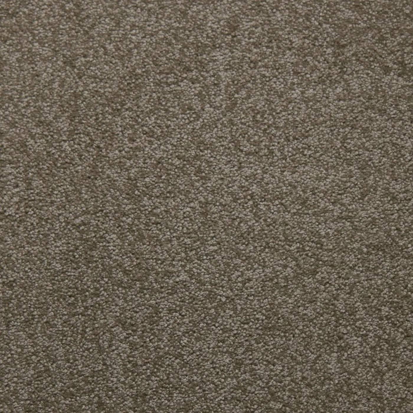 Downy Suede