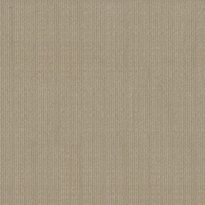 Simply Beige