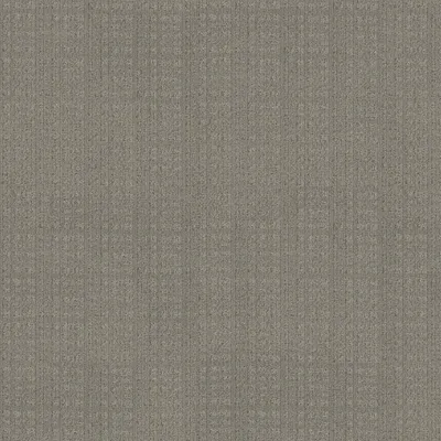 Backdrop