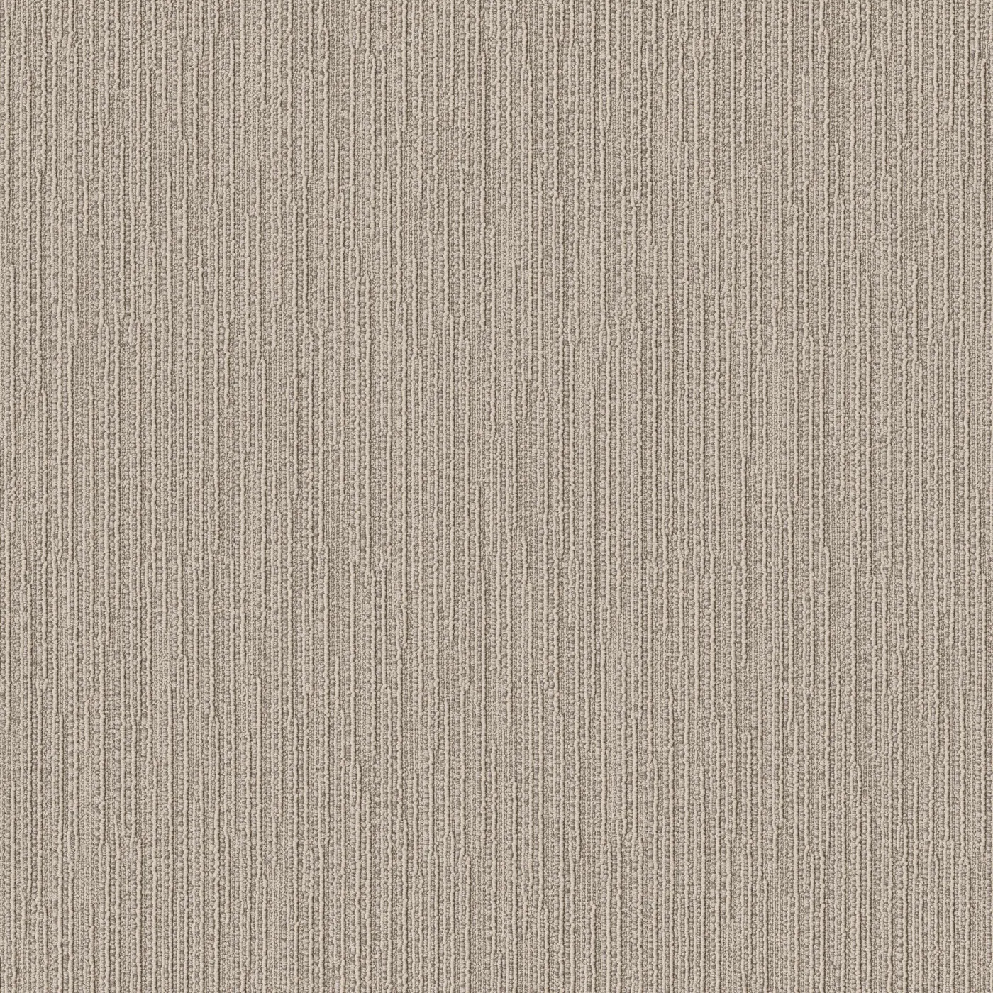 Himalean Oyster Shell