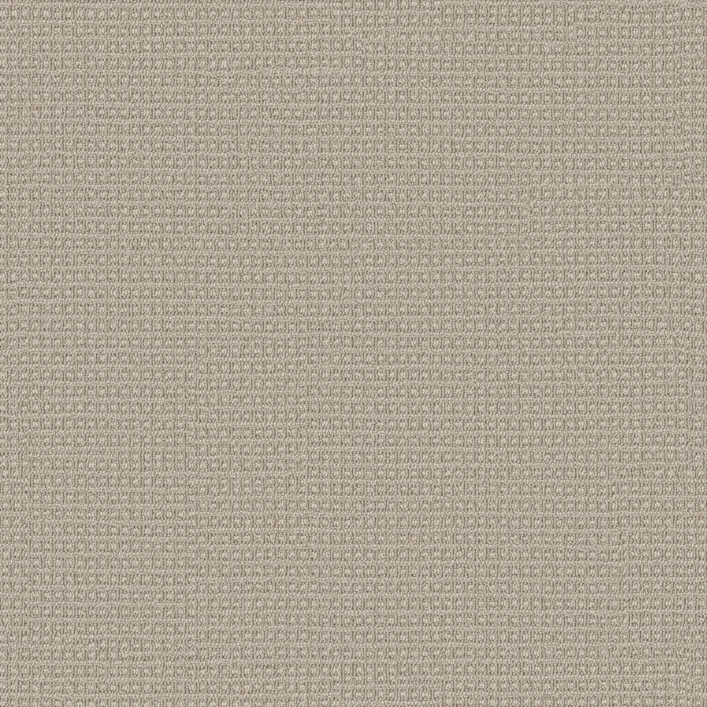 Amplified Key Birch