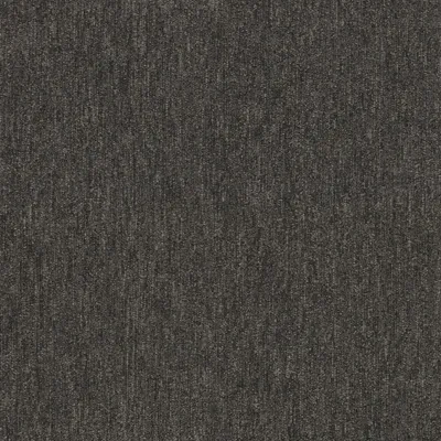 Cluster 00515