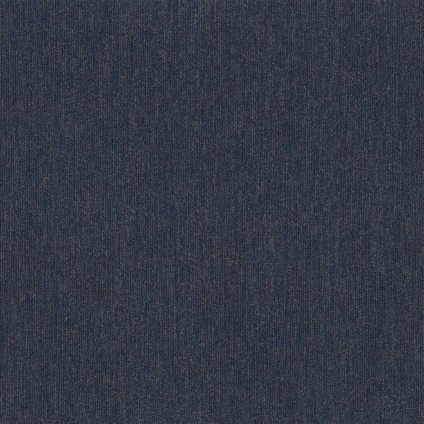 Abundance 26 54969 Volume 00415