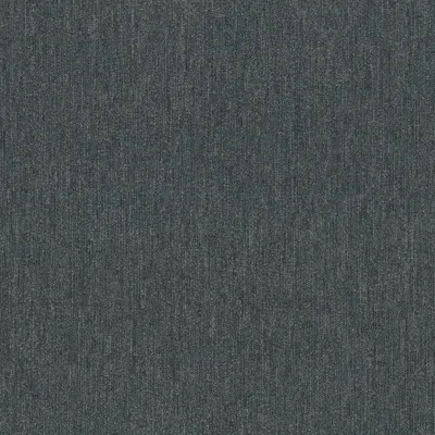 Array 00410