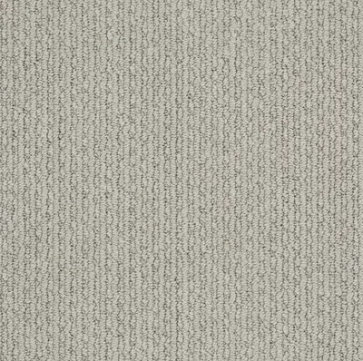00515 Gray Whisper