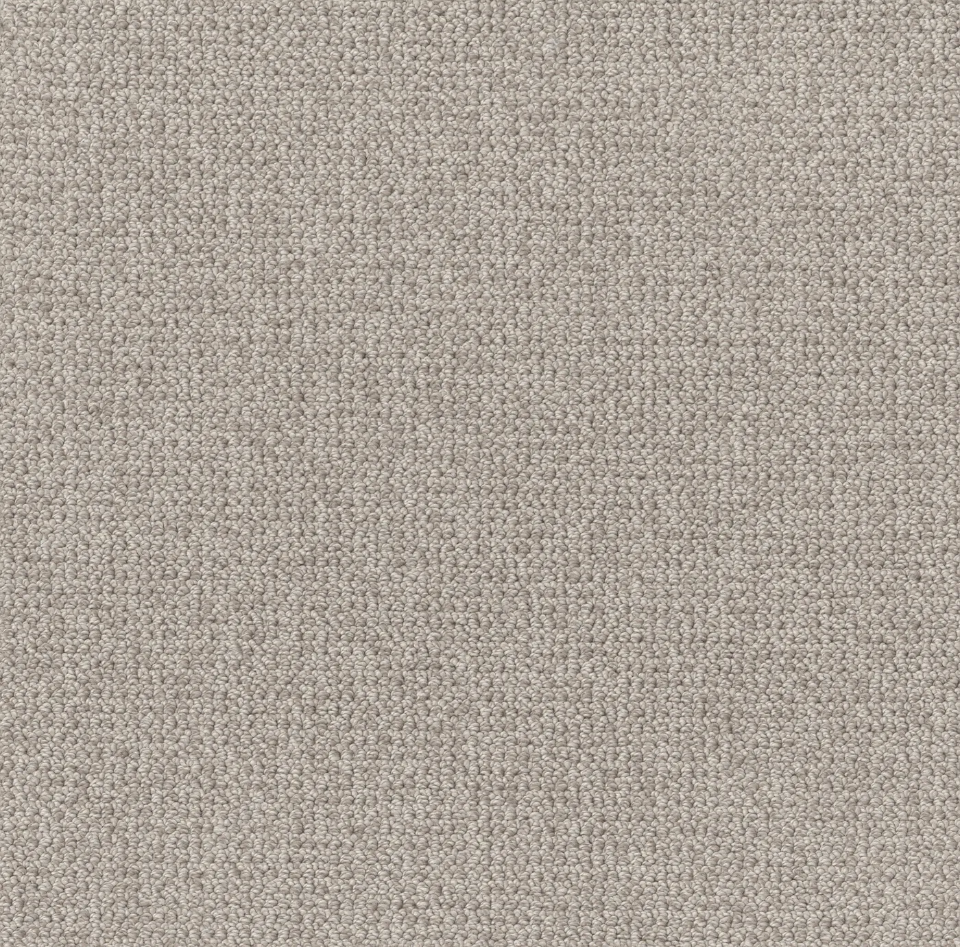 Quickwinter Flagstone
