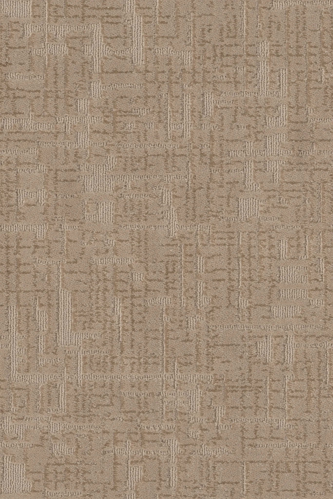 Oblite Equator Birchwood
