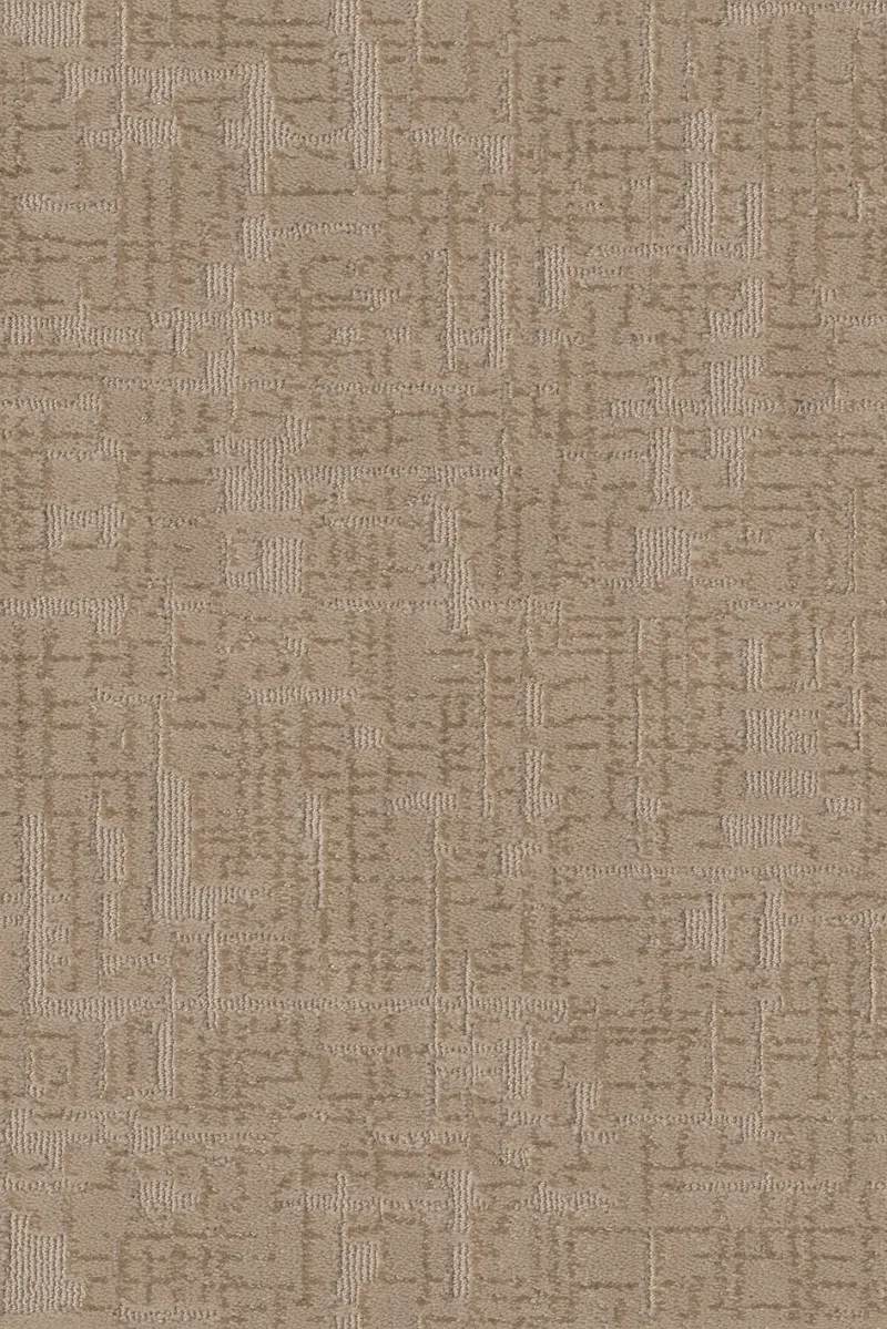 Oblite Equator Birchwood