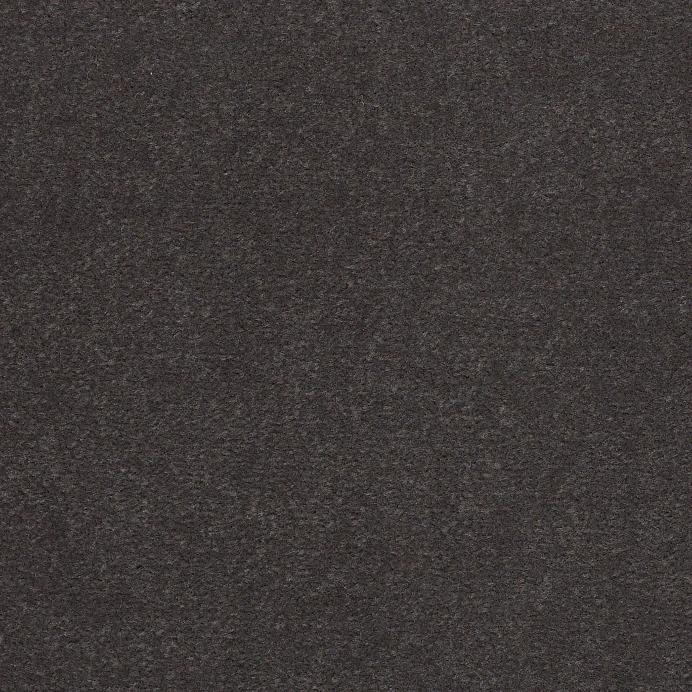 Sendero Cinders
