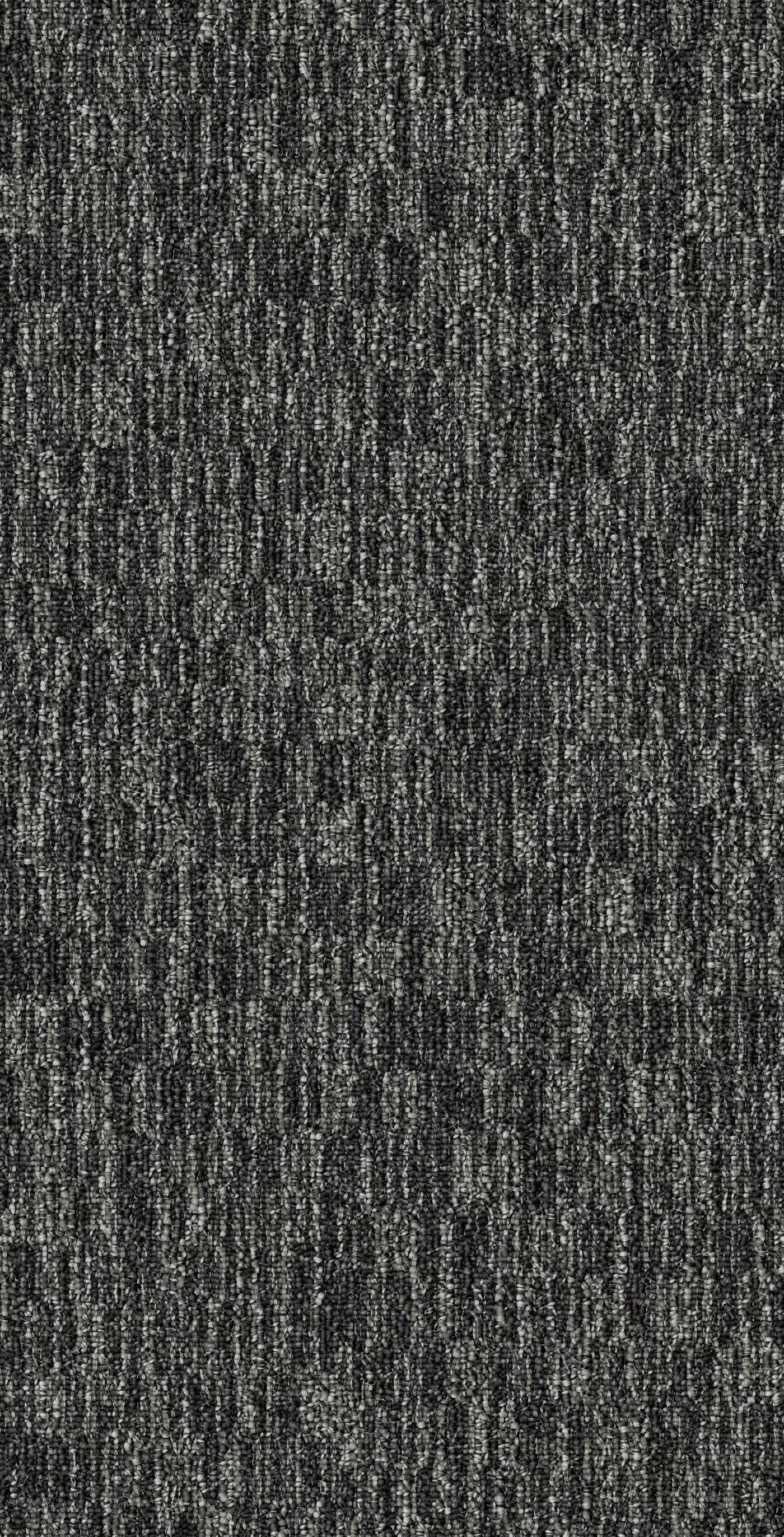 Inner Field Elephant