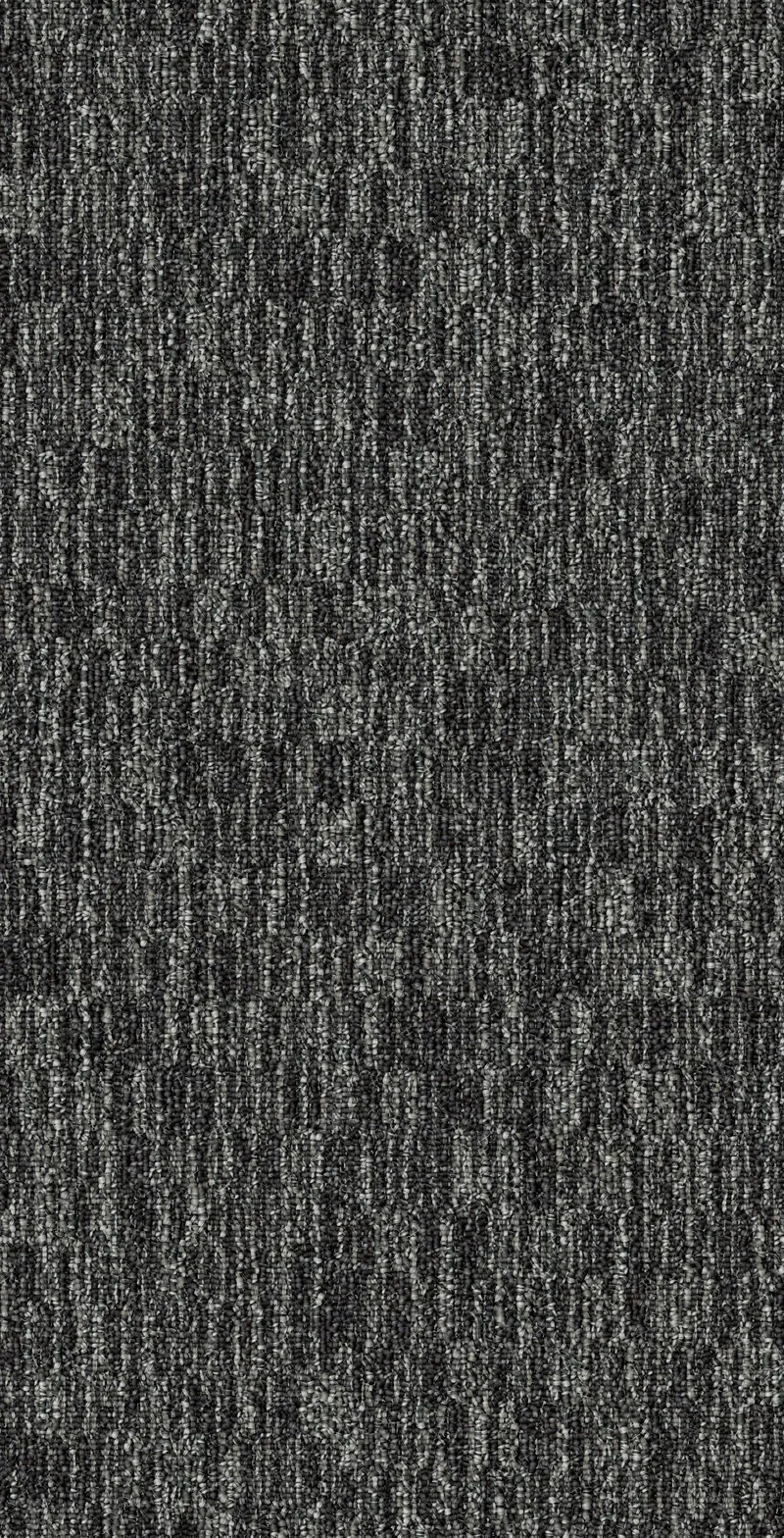 Inner Field Elephant