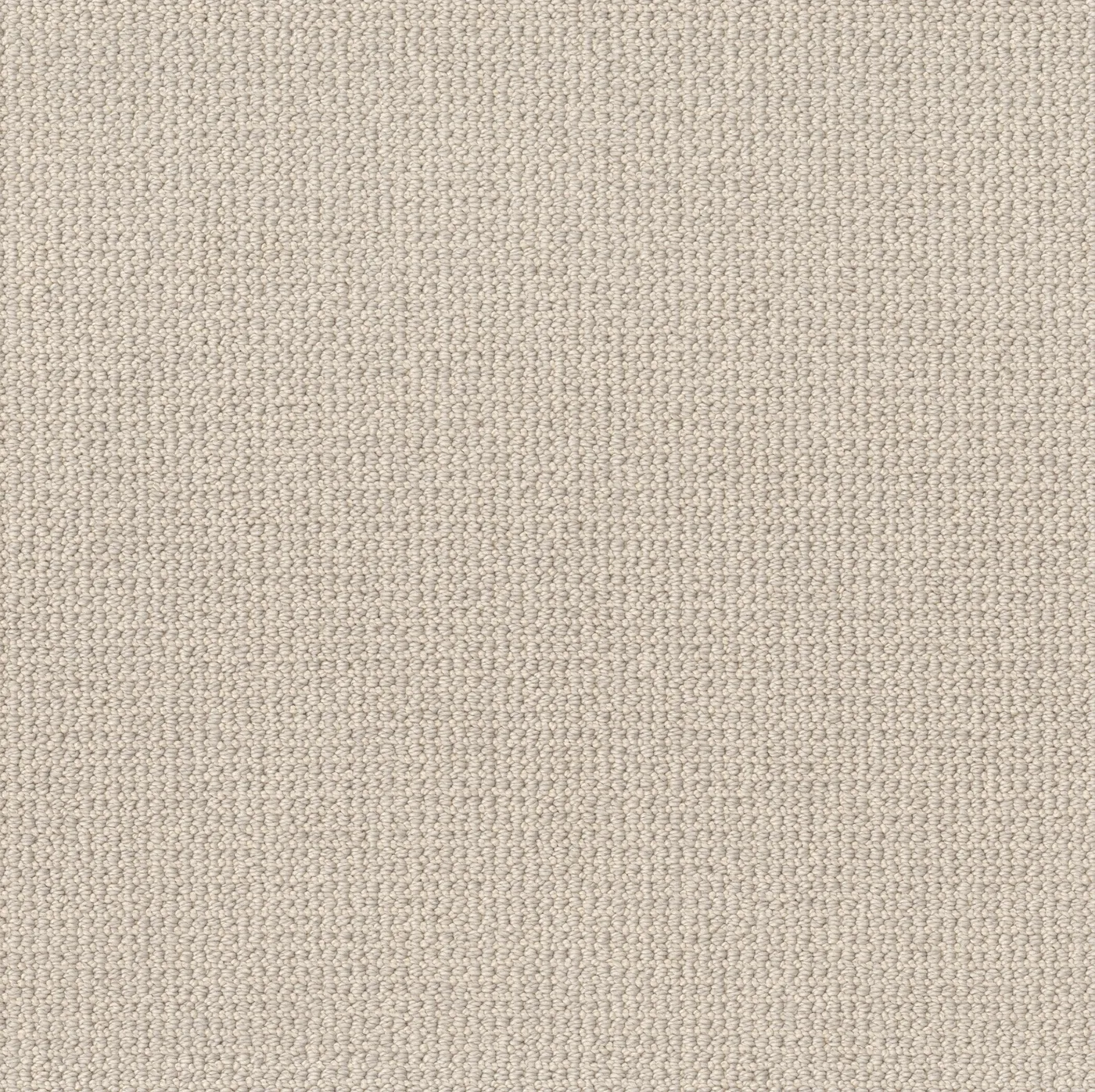 Quickwinter Mocha Cream