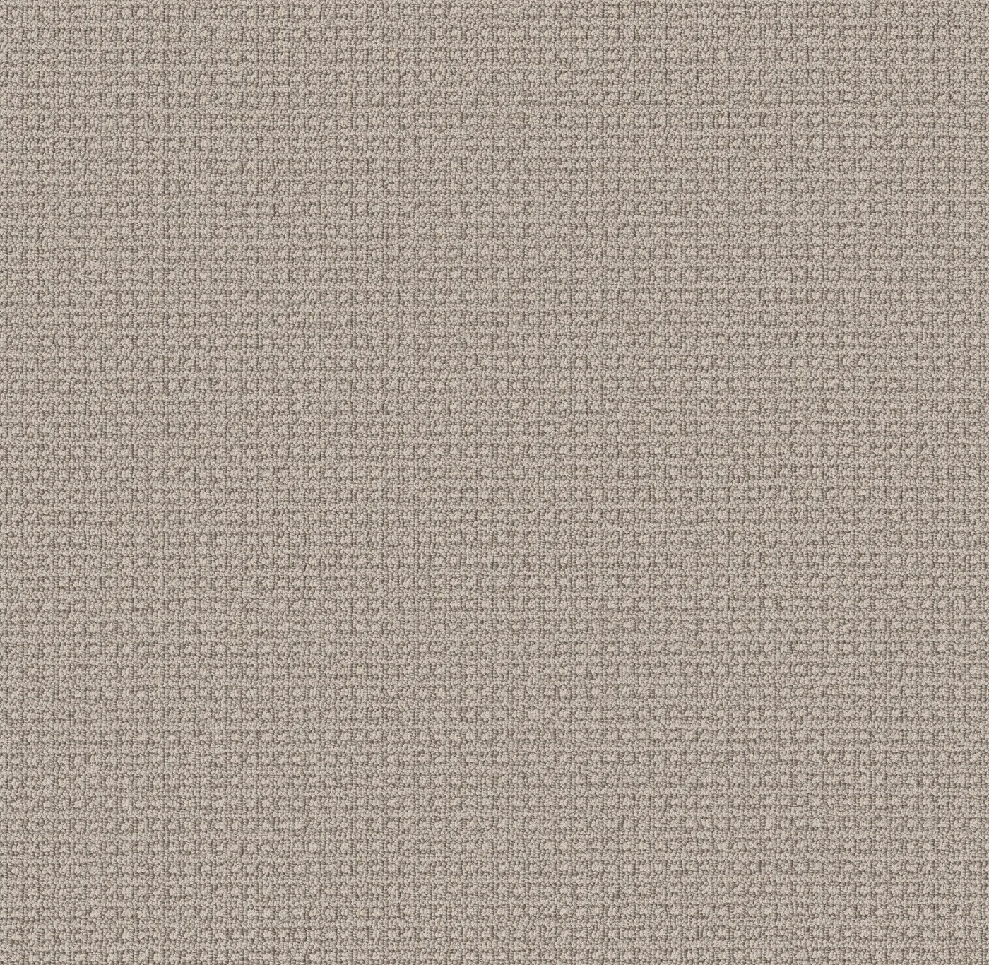 Amplified Key Oyster Shell