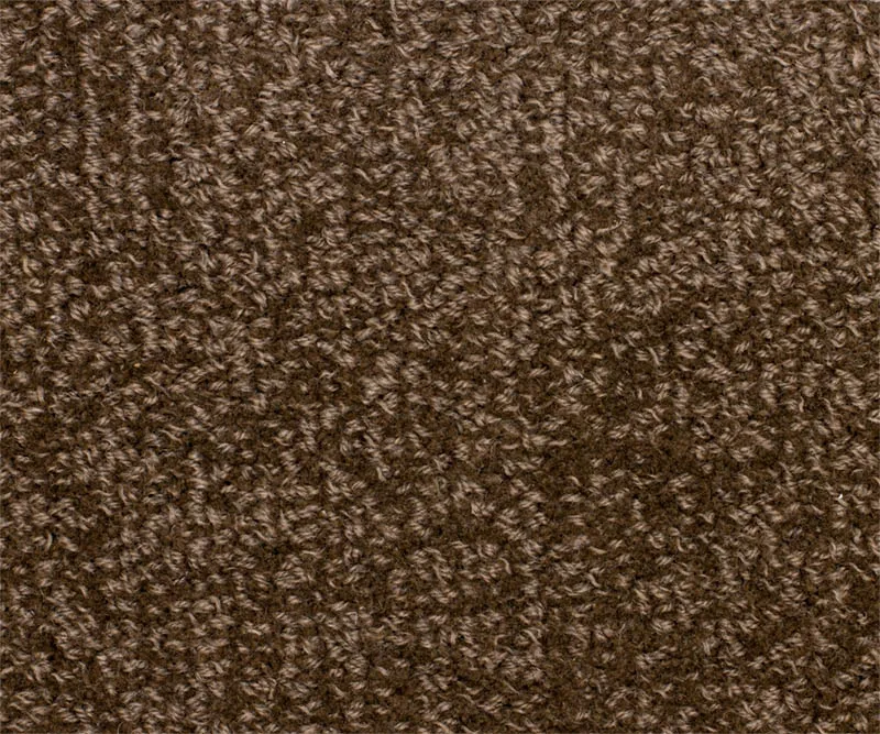 Viscount Shadow