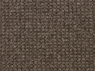 SCOTTISH GRAY