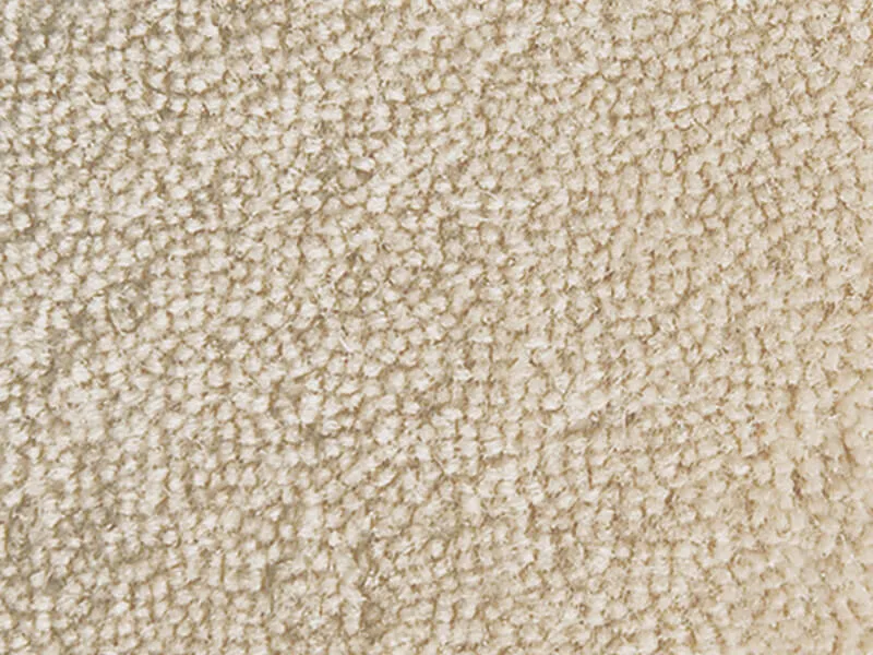 Courtly Sand Dollar
