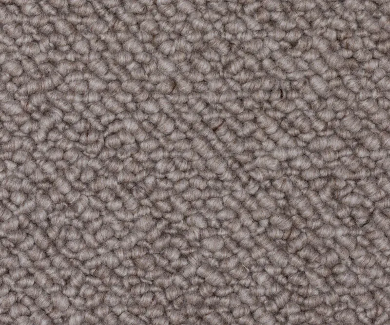 Terrain Silver Fox