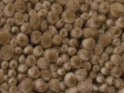Soft Umber