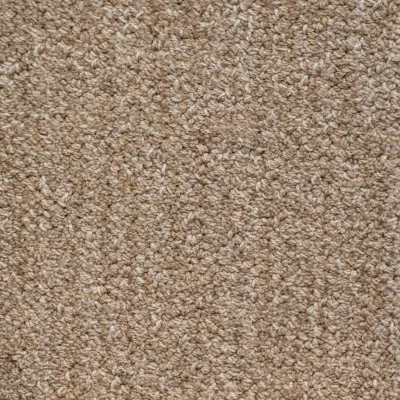 Sahara