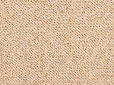 Raw Silk
