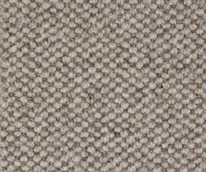 Lare Dapple Gray