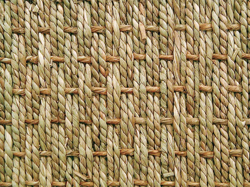 Zostera Straw