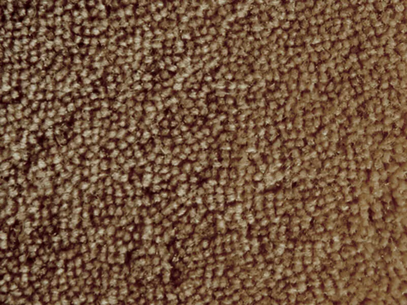 Courtly Tamarind