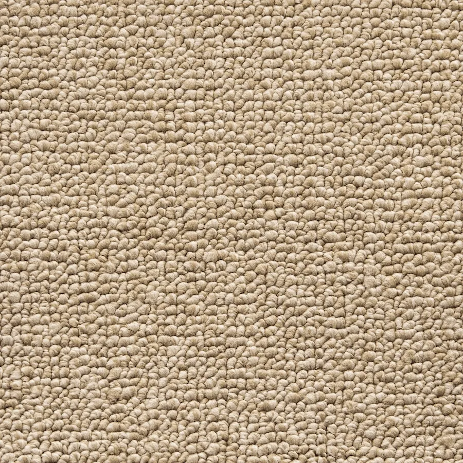 Bancan Sandstone
