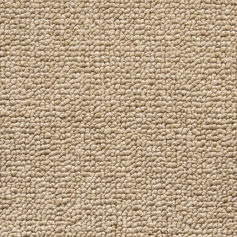 Bancan Sandstone